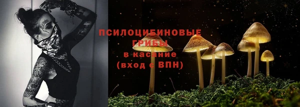 мдма Богданович