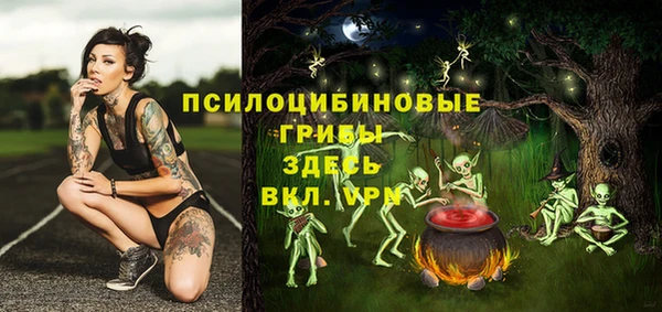 ГАЛЛЮЦИНОГЕННЫЕ ГРИБЫ Богородицк
