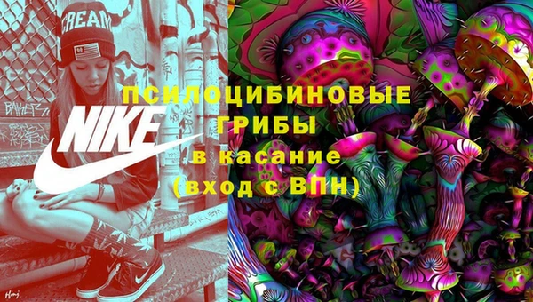 ГАЛЛЮЦИНОГЕННЫЕ ГРИБЫ Богородицк